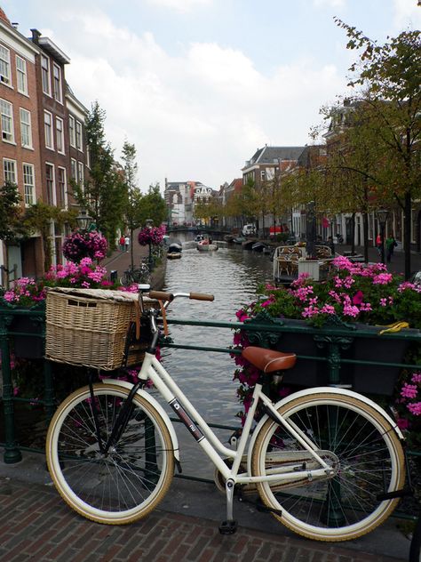 Traci's Travels: a bicycle chained up next to a canal, Leiden, Holland, September 2014. Amsterdam Bridge, Amsterdam Bicycle, Bike Tattoos, Goal Board, Amsterdam Canals, Vintage Vehicles, Bicycle Chain, Vintage Cars, Holland