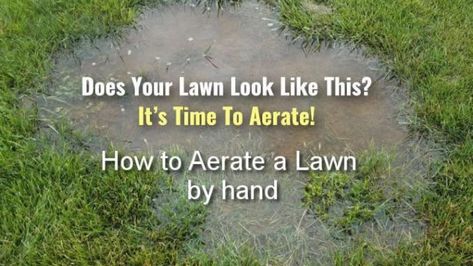 how to aerate lawn by hand Lawn Aeration, Garden Rake, Weeds In Lawn, Aerate Lawn, Diy Lawn, Grass Roots, Lawn Maintenance, Beneath The Surface, Gardening Gloves