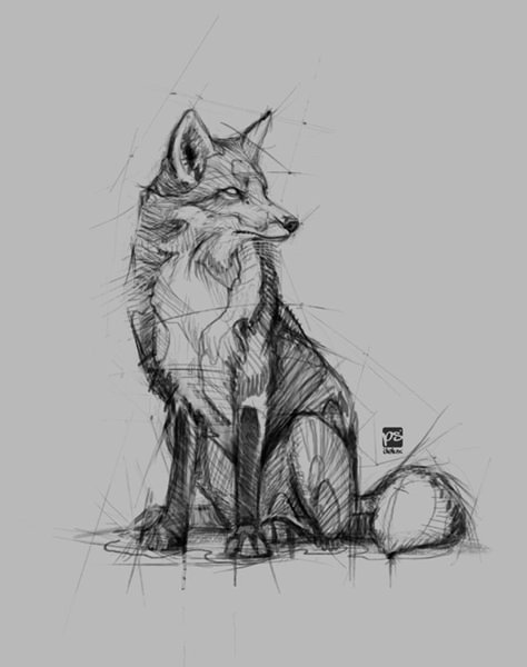 Fox Sketch, Fox Sitting, Easy Pencil Drawings, Pencil Drawings Of Animals, Fox Drawing, Couple Drawing, Animal Drawings Sketches, Draw Eyes, Drawing Eyes