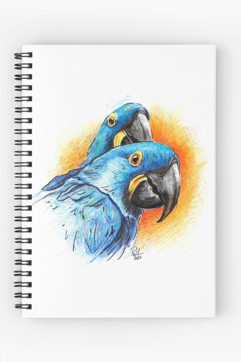 A spiral notebook featuring a watercolour painting of two hyacinth macaws in vibrant blue, with an orange splash behind them, contrasting their feathers. The rear parrot peering over the top of the main subject. Both parrots face to the right of the piece, with just their head and shoulders in frame. Drawn using Stabilo Woody crayons, and outlined with a black brush pen. 11"x14" original may be available. #watercolour #blueparrot #macaw #funnyparrots #parrotpad Parrot Head Drawing, Blue Macaw Drawing, Parrot Drawing Colored Pencil, Blue And Gold Macaw Drawing, Blue Parrot Painting, Parrot Drawing, Animal Pen, Funny Parrots, Pen And Watercolor