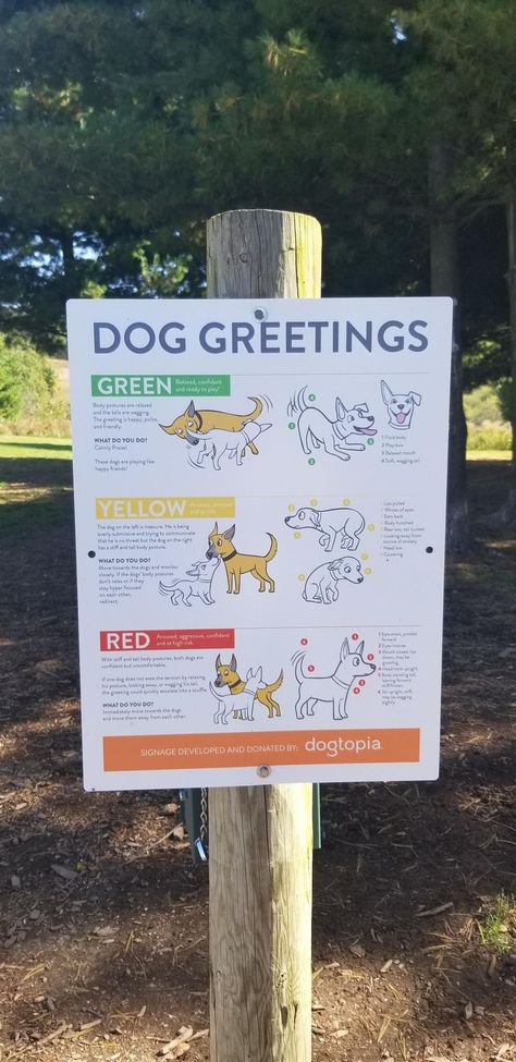 Private Dog Park, Indoor Dog Park Ideas, Dog Training Facility Ideas, Dog Shelter Aesthetic, Dog Park Ideas, Dog Olympics, Dog Boarding Facility Ideas, Dog Hashtags, Dog Training Facility