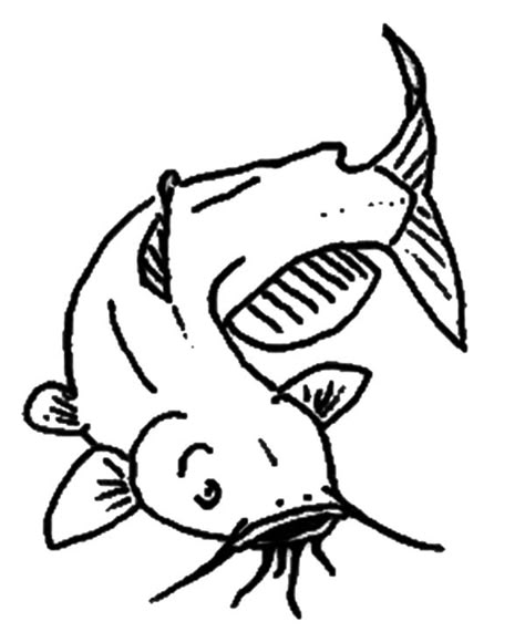 Channel Catfish Coloring Pages : Best Place to Color Fishing Drawings, Catfish Tattoo, Fish Outline, Doodle A Day, Channel Catfish, Fish Pictures, Catfish Fishing, Grand Marais, Pages To Color