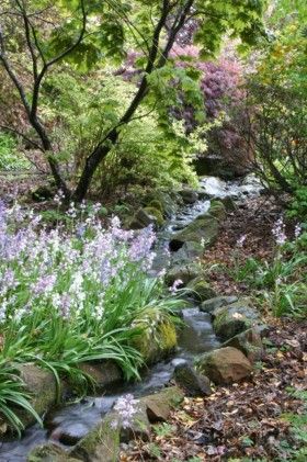 Woodland Landscaping, Woodland Garden Ideas, Garden Stream, Creek Ideas, Gravel Pathway, Pondless Waterfall, Garden Woodland, Dry Creek Bed, Woodland Gardens