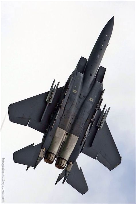 F-15 belly of the dragon F15 Eagle, Photo Avion, F 35 Lightning Ii, F 22 Raptor, F22 Raptor, Military Airplane, Air Fighter, Military Jets, Military Aviation