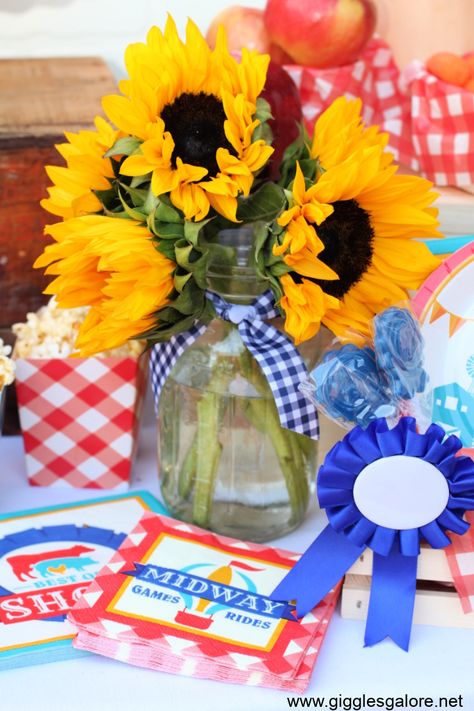 County Fair Backdrop Ideas, County Fair Themed Party, County Fair Party Ideas, Country Fair Decorations, County Fair Theme Decorations, County Fair Decorations Ideas, County Fair Centerpieces, Country Fair Birthday Party, Texas State Fair Themed Party