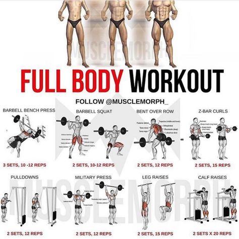 If you want to build muscle mass, there are hundreds of different training programs you could choose from to help you achieve that goal.… Full Body Workout Plan, Transformation Motivation, Full Body Workouts, Full Body Workout Routine, Barbell Workout, Build Muscle Mass, Trening Fitness, Full Body Gym Workout, Weight Training Workouts