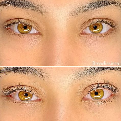 Eye Color Aesthetic, Amber Eyes Aesthetic, Honey Eyes Color, Amber Eyes Color, Lash Lift Training, Pretty Eyes Color, Light Brown Eyes, Honey Eyes, Pretty Brown Eyes