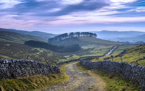 Walled lane in Ribblesdale, Yorkshire Dales, North Yorkshire, England, U.K Yorkshire Dales National Park, British Landscape, Ireland Landscape, Northern England, Landscape Beautiful, British Countryside, Yorkshire Dales, Landscape Pictures, English Countryside