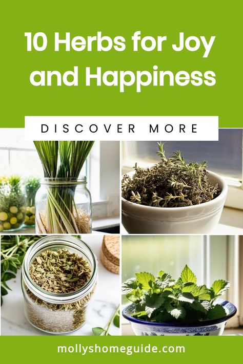 Discover the magical world of herbs for joy and happiness with these mood-boosting plants. Create your very own indoor herb garden filled with spiritual herbs like Calendula, Marjoram, and Oregano. Explore the powerful benefits of herbology and herbalism in promoting homegrown happiness. Embrace the natural wonders of these psychic herbs to elevate your well-being and bring positivity into your life. Psychic Herbs, Spiritual Herbs, Indoor Herb, Earthy Fragrance, Magical Herbs, Indoor Herb Garden, Calming Scents, Fresh Feeling, Lemon Balm