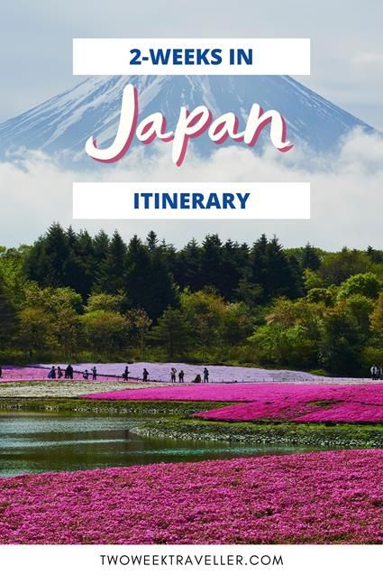 [2024] Ultimate 2 Weeks in Japan: 2 Itineraries with map 2 Weeks In Japan Itinerary, Japan Itinerary Two Weeks, Naoshima Island, Hiroshima Peace Memorial, Tokyo Travel Guide, Japan Guide, Japan Itinerary, Japan Travel Guide, Tokyo Travel