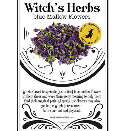 1,967 Likes, 13 Comments - Magical Recipes Online (@magicalrecipesonline) on Instagram: “Explore the Herbs of the Witches @magicalshoponline  Exploring the Lore of Witchcraft through…” Flower Magic, Mallow Flower, Witch Herbs, Spells For Beginners, Magical Herbs, Magical Life, Flowers Dried, Herbal Magic, The Witches