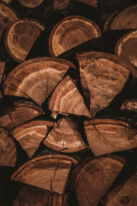 White And Black Cat, Brown Image, David Chipperfield, Wooden Log, Focus Photography, Brown Walls, Free For Commercial Use, Brown Wallpaper, Brown Aesthetic