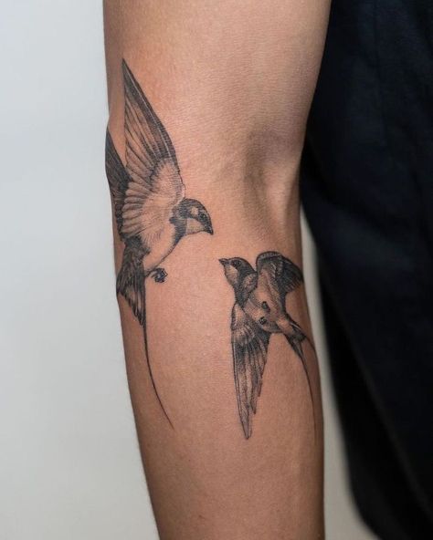 Birds Tattoo On Arm, 2 Bird Tattoo, 2 Swallows Tattoo, 2 Birds Tattoo, Luke Tattoo, Sparrow Tattoos, Swallow Bird Tattoo, Swallow Tattoo Design, Bird Tattoos Arm