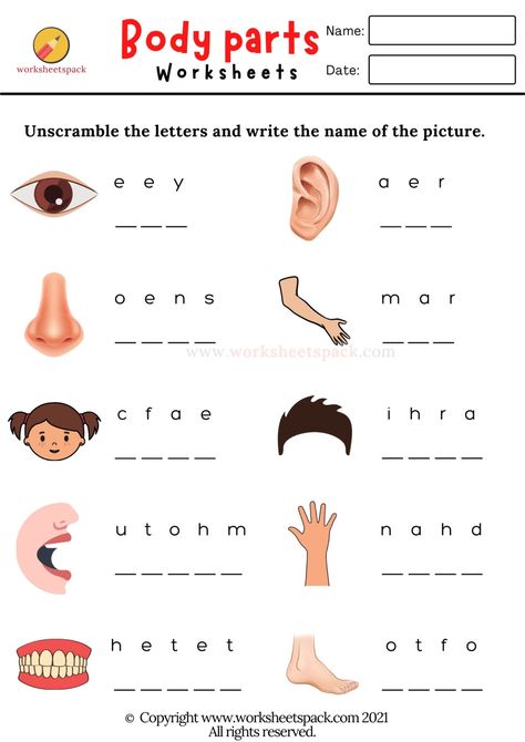 Body Parts Preschool Activities, Body Parts For Kids, Human Body Worksheets, Worksheets For Class 1, Body Parts Preschool, Mouse Images, English Grammar For Kids, English Worksheets For Kindergarten, Grammar For Kids