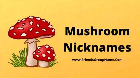 Mushroom Nicknames: So hi friend how all of you guys today I am very excited, I have tried to provide you the list of Mushroom Nicknames, if you check all the nick names well, then you can feel very best and you can get a better mushroom name If you are trying to keep it ... Read more The post 250+ Mushroom Nicknames【2022】Cute, Best & Funny Mushroom Names Ideas appeared first on Friends Group Name List for Friends, Family, Cousins, Cool and Funny. Mushroom Names Aesthetic, Funny Nick Names For Best Friends, Mushroom Drawing With Names, Mushrooms Names, Cute Mushroom Sayings, Friends Group Name, Fun Facts About Mushrooms, Pun Names, Mushroom Names