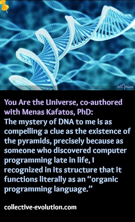 IF DNA IS SOFTWARE, WHO WROTE THE CODE? Dna Quotes, Quantum Science, Simulation Hypothesis, Spiritual Science, Computer Programming, Useful Life Hacks, Lord Shiva, Energy Healing, Shiva