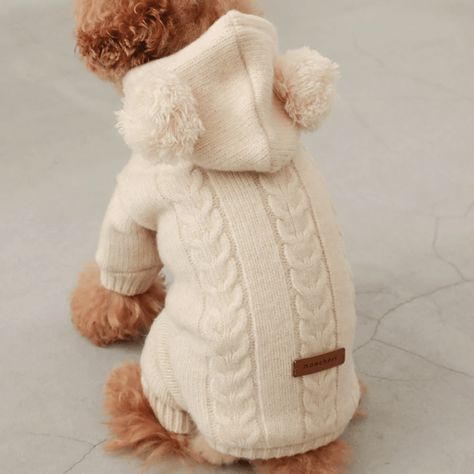 Dogs Wearing Clothes, Big Dog Costumes, Dog Wearing Clothes, Knit Onesie, Boy Dog Clothes, Dog Room Decor, Puppy Room, Knitted Dog, Cute Dog Clothes