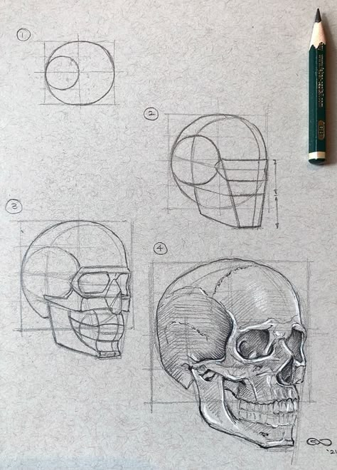 Skull Drawing Sketches, Skull Sketch, Skeleton Drawings, Skull Art Drawing, Skulls Drawing, 얼굴 그리기, Human Anatomy Art, Human Head, Sketches Tutorial