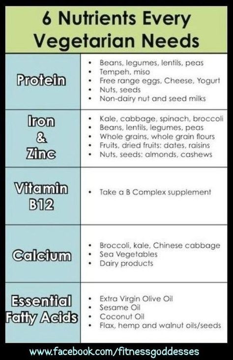 Must have for vegetarians, And those too ignorant to know there are other forms of protein. Vegetarian Life, Vegetarian Lifestyle, Nutrition Sportive, Resep Diet, Going Vegetarian, Diet Vegetarian, Vegetarian Diet, Vegan Life, Vegan Diet