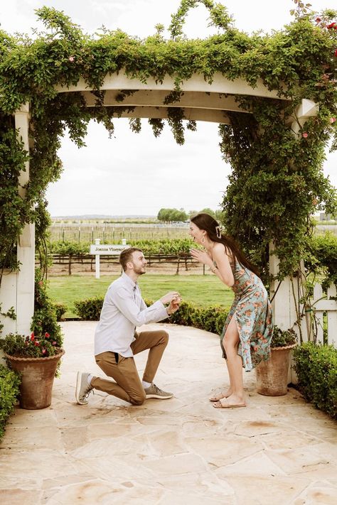 Proposal Ideas Winery, Signor Vineyards, Vineyard Proposal, Winery Proposal, Proposal Places, Spring Proposal, Suprise Proposal, Outdoor Proposal, Summer Proposal