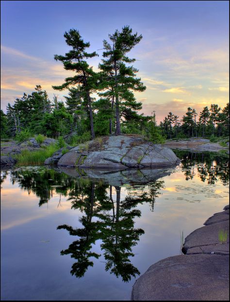 Northern Ontario Landscape, Canadian Shield, Nature Photography Trees, Northern Ontario, Georgian Bay, Landscape Art Painting, Watercolor Trees, Landscape Trees, Painting Photos