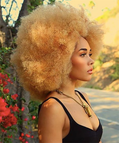 Fro Hawk, Wave Hairstyles, Natural Hair Haircuts, Blonde Afro, Blonde Natural Hair, Finger Wave, Yellow Blonde, Twa Hairstyles, Tapered Natural Hair