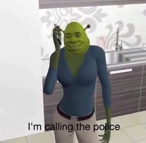 I'm calling the police | Shrek | Know Your Meme I'm Calling The Police, Calling The Police, Shrek Memes, Meme Stickers, Can't Stop Laughing, Very Funny Pictures, Shrek, Quick Jokes, Really Funny Pictures