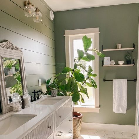 Evergreen Fog SW 9130 - Green Paint Color - Sherwin-Williams Green Bathroom Paint, Sherwin Williams Green, Evergreen Fog, Bathroom Paint Colors, Green Paint Colors, Sherwin Williams Paint Colors, Bathroom Color, Paint Projects, Boho Bathroom