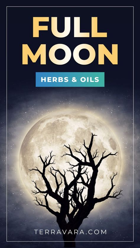 Full moon herbs and essential oils. Full Moon Herbs, Moon Herbs, May Moon, Moon Capricorn, Full Moon Spells, Full Moon In Sagittarius, New Moon Full Moon, Moon Names, Moon Magick