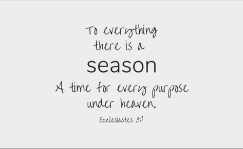 Seasons Life Quotes, This Season Of Life Quotes, Hard Seasons Of Life Quotes, New Season Of Life Quotes, Seasons Of Life Quotes, Bible Painting, Biblical Wisdom, Season Quotes, Seasons Of Life