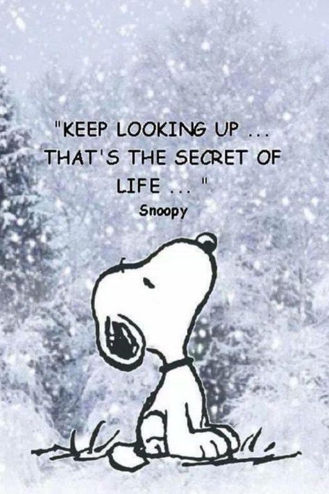 Keep looking up - that's the secret to life. First Day Of December, The Secret Of Life, Secret Of Life, December Quotes, Heather Stillufsen, Keep Looking Up, Happy December, Hello December, Snoopy Quotes