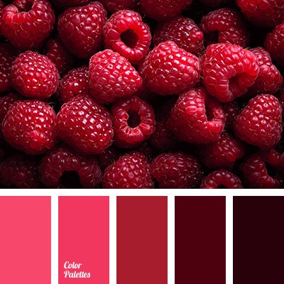 Cold berry palette shifts gradually from lilac to dark burgundy. This elegant color range is bound to look good in a bedroom and will create an unusual atm. In Color Balance, Color Palette Ideas, Wall Living Room, Red Colour Palette, Warm Palette, Palette Ideas, Raspberry Color, Color Palate, Design Seeds