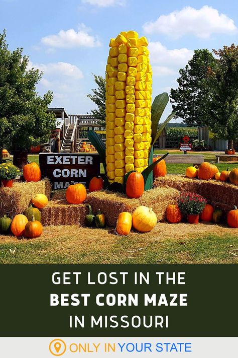 Pumpkin Patch Yard Display, Community Fall Festival, Corn Festival Ideas, Corn Maze Activities, Corn Maze Ideas Activities, Fall Festival Maze, Agrotourism Ideas Farms, Cornmaze Fall, Corn Maze Aesthetic