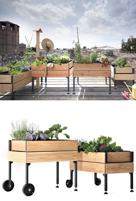 Roof Garden Design, Vegetable Planters, Vegetable Design, Balcony Plants, Veg Garden, Garden Architecture, Rooftop Garden, City Garden, Modular System