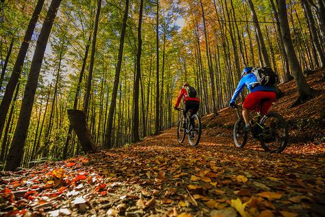 There are many options within a 4-hour radius of the city, including quite a few quality camping spots just a short drive from  Downtown. Couple On Cycle, Woman Cycling, Ohiopyle State Park, Presque Isle State Park, Allegheny National Forest, Biker Couple, Civilian Conservation Corps, New River Gorge, Camping Resort