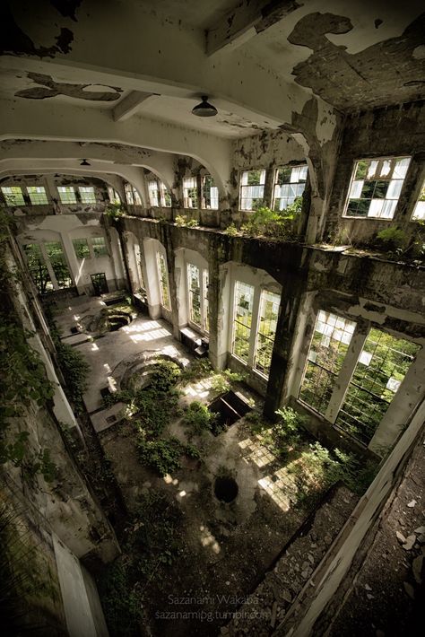 Apocalypse Aesthetic, Olivia Black, Abandoned Buildings, Brutalism, Nature Aesthetic, End Of The World, Pretty Places, Green Aesthetic, The Brain