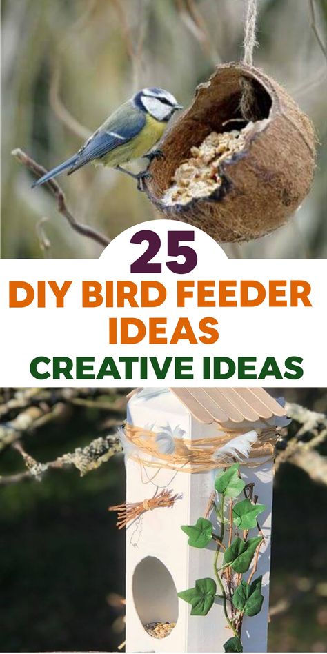 Welcome feathered friends to your garden in style with these charming DIY bird feeder ideas! Elevate your outdoor space with creative and unique feeders made from recycled materials or inspired by nature. These projects not only provide nourishment for birds but also double as decorative elements, adding joy to your garden. Embrace the beauty of birdwatching and nature with fun and easy crafting that brings whimsy to your backyard! Upcycled Bird Feeder, Mini Rock Garden, Bird Feeders For Kids To Make, Winter Bird Feeders, Bird Feeder Station, Unique Bird Feeders, Fall Landscaping, Mailbox Landscaping, Easy Bird