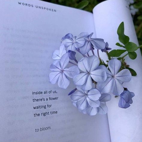 Purple Quote Aesthetic, Diary Aesthetics, Cocktail Videos, Poetry Ideas, Good Insta Captions, Inspirtional Quotes, Aesthetic Books, Meant To Be Quotes, Girly Wall Art