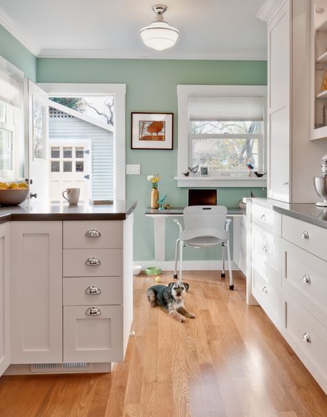 loving this color - Kensington green Benjamin moore Bungalow Homes, House Of Turquoise, Kitchen Wall Colors, Kitchen Paint Colors, Kitchen Decorating, Kitchen Plans, Kitchen Paint, Green Kitchen, White Cabinets