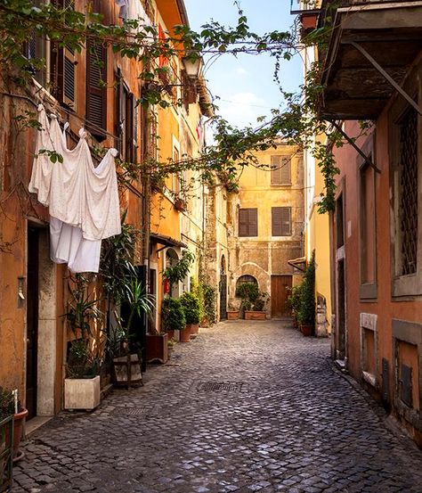 ROME Rome Streets, Rome Art Print, Trastevere Rome, Rome Itinerary, Rome Photo, Italian Street, Rome City, Beautiful Streets, Italy Photo