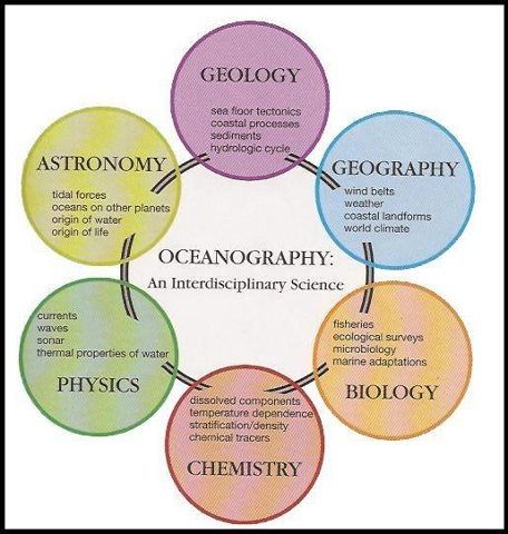 Oceanography an interdisciplinary science Oceanography Notes, Marine Archeology, Oceanography Marine Biology, Marine Archaeology, Science Images, Downtown Indianapolis, Marine Science, Wildlife Biologist, Science Background