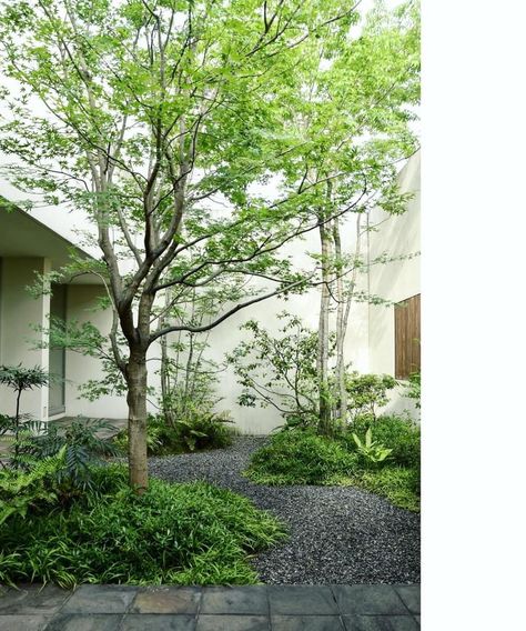 Spa Landscaping, Shrubs For Landscaping, Garden Court, Tropical Backyard, Japan Garden, Courtyard Design, Garden Entrance, Office Garden, Coastal Gardens