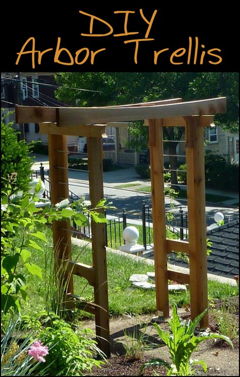 What plants do you think you could grow in your area if you had this arbor trellis? Is this going to be your next project? Diy Arbor, Modern Trellis Design, Arbor Design, Japanese Garden Backyard, Arbor Trellis, Diy Arbour, Arbor Ideas, Arbors Trellis, Trellis Ideas