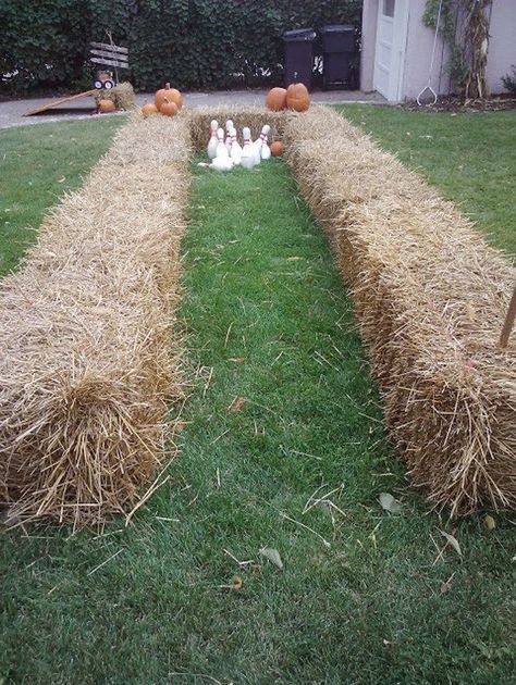 Go bowling in a hay-lined alley. | 31 Fall Wedding Ideas You'll Want To Try Immediately Pumpkin Bowling, Fall Festival Games, Fun Halloween Party Games, Reception Games, Fall Harvest Party, Fall Carnival, Festival Games, Wedding Reception Games, Harvest Fest