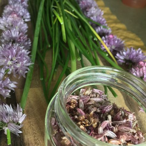 #gardening #chives #chiveblossoms #diy #herbs #herbalremedies #naturalremedies #plants #plantbased Chive Blossom, Blossom, Plants