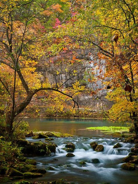 Alley Spring and Mill, in the Ozark National Scenic Waterways in southeastern Missouri Ozark Missouri, Most Beautiful Places To Visit, Beautiful Parks, Ozark Mountains, North Dakota, Beautiful Place, Beautiful Places To Visit, Pretty Places, Fall Leaves