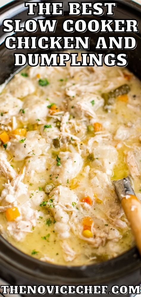 Rich, creamy Slow Cooker Chicken and Dumplings are easy to make with a can of biscuits for the dumplings! A homestyle, cozy meal that's hassle free. Dumplings Crockpot, Easy Chicken Dumpling Recipes, Warm Recipes, Crockpot Favorites, Creamy Chicken And Dumplings, Fluffy Dumplings, Chicken Dumpling, Chicken Dumpling Soup, Fancy Foods