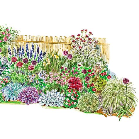 Soften a Fence with This Lush Border Garden Plan Cottage Garden Plan, Garden Planning Ideas, Border Garden, Cedar House, Flower Garden Plans, Yard Garden Ideas, Sunny Garden, Garden Nook, Perennial Border