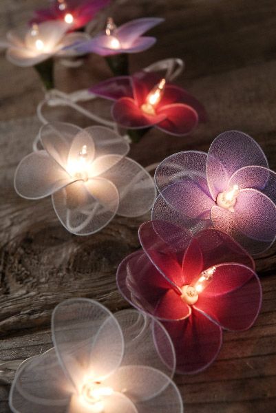 Dorm Lights, Dorm Lighting, Purple String Lights, Flower Fairy Lights, Patio Wedding, Lantern String Lights, Bedroom Light, Lights Home, Cute Bedroom Decor