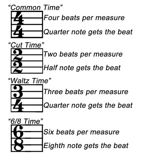 Common Time Signatures Piano Time Signatures, Piano Terminology, Music Vocabulary, Piano Tips, Music Basics, Music Theory Piano, Time Signature, Beginner Piano Music, Reading Sheet Music